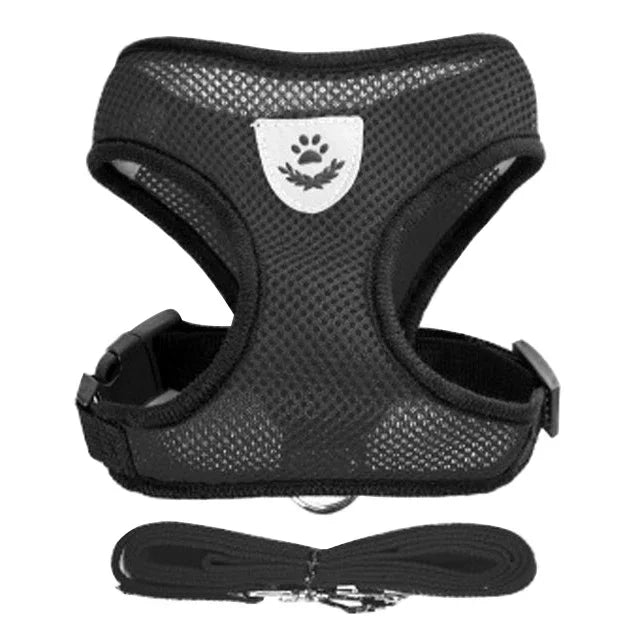 Adjustable Pet Harness & Leash Set (S–L)