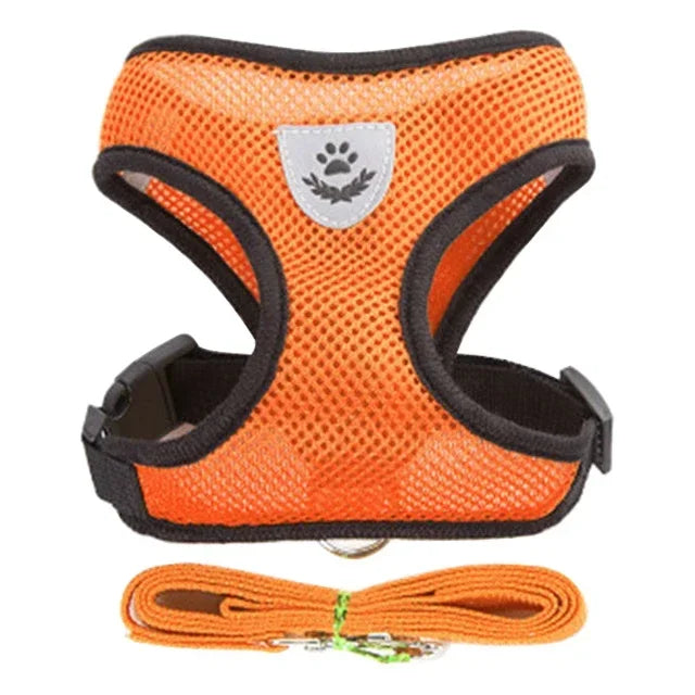 Adjustable Pet Harness & Leash Set (S–L)