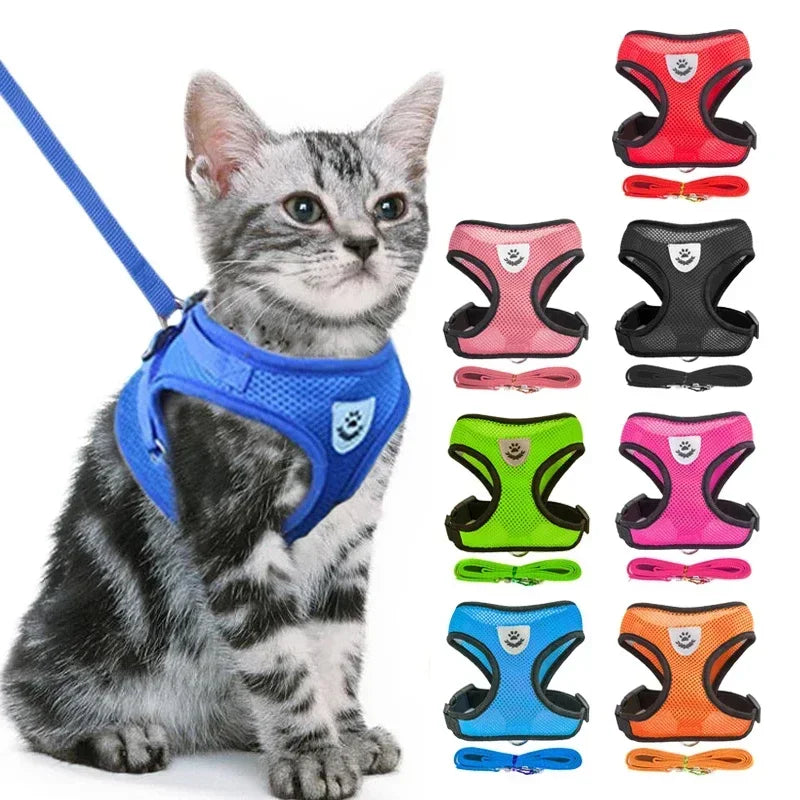 Adjustable Pet Harness & Leash Set (S–L)