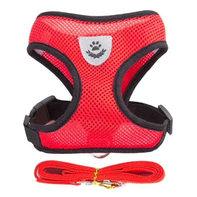 Adjustable Pet Harness & Leash Set (S–L)