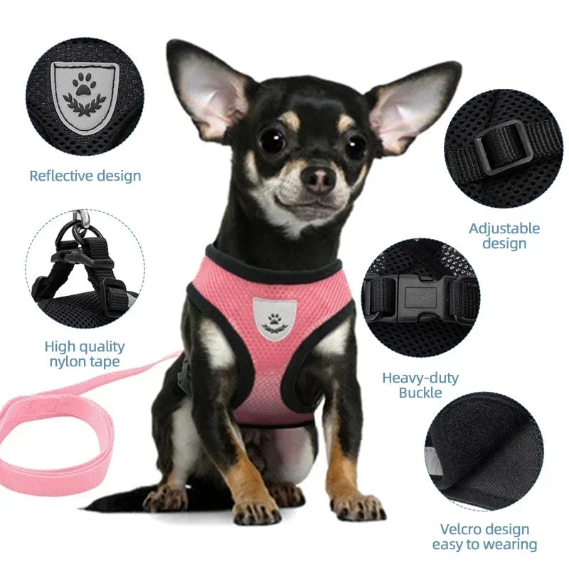 Adjustable Pet Harness & Leash Set (S–L)
