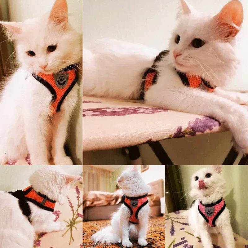 Adjustable Pet Harness & Leash Set (S–L)