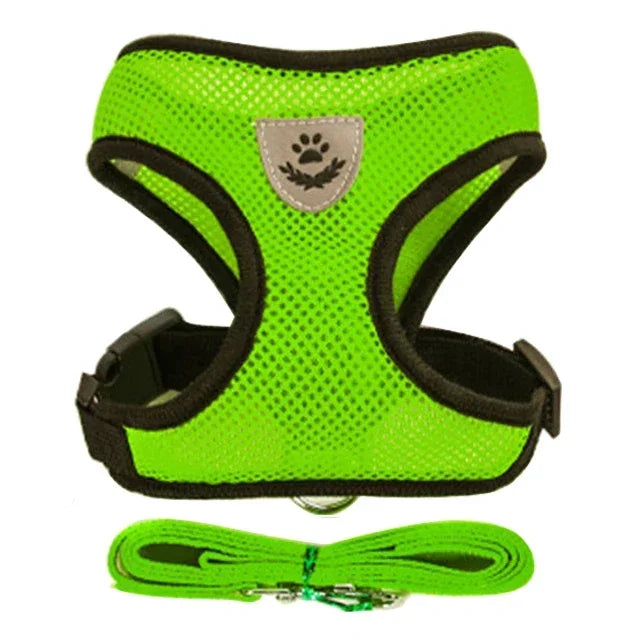 Adjustable Pet Harness & Leash Set (S–L)