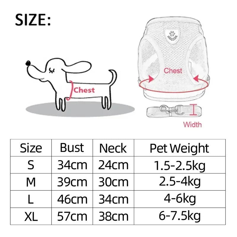 Adjustable Pet Harness & Leash Set (S–L)