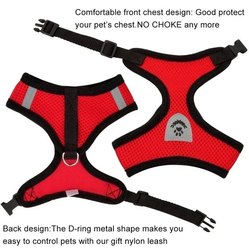 Adjustable Pet Harness & Leash Set (S–L)