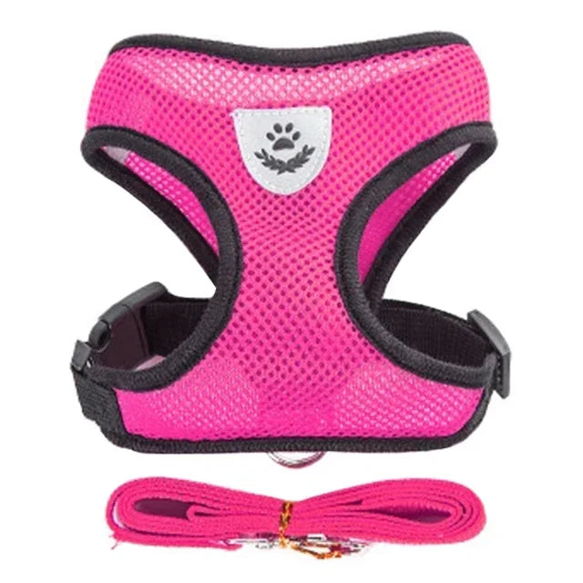Adjustable Pet Harness & Leash Set (S–L)
