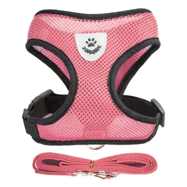 Adjustable Pet Harness & Leash Set (S–L)