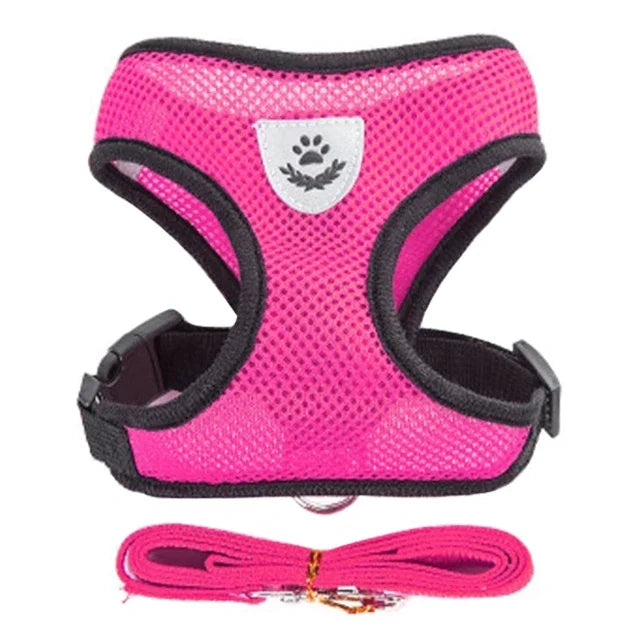 Summer small dog pet chest and back breathable dog chest and back suit cat outdoor traction rope child collar