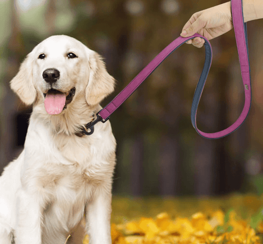 Premium Leather Dog Leash - Stylish And Durable Pet Traction Belt